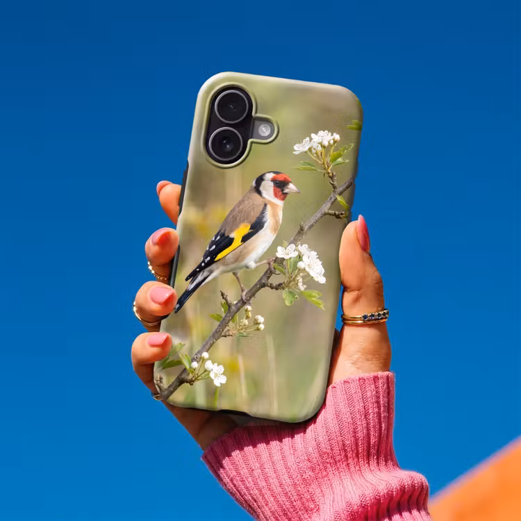 Putter - Bloesem - Lente - Natuur - Kleurrijk Toughcase MagSafe Apple iPhone 17 klein -Sfeer1V