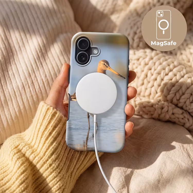 Vogel - Steltloper - Water - Natuur Toughcase MagSafe Apple iPhone 17 klein -USP_MagsafeV
