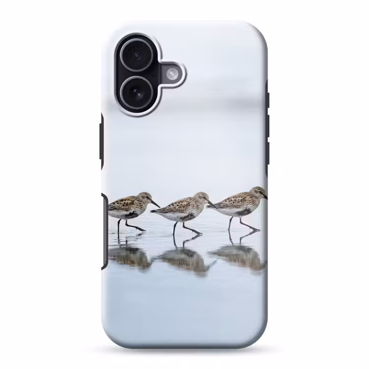 Vogels - Water - Grijs Toughcase MagSafe Apple iPhone 17 klein -3d