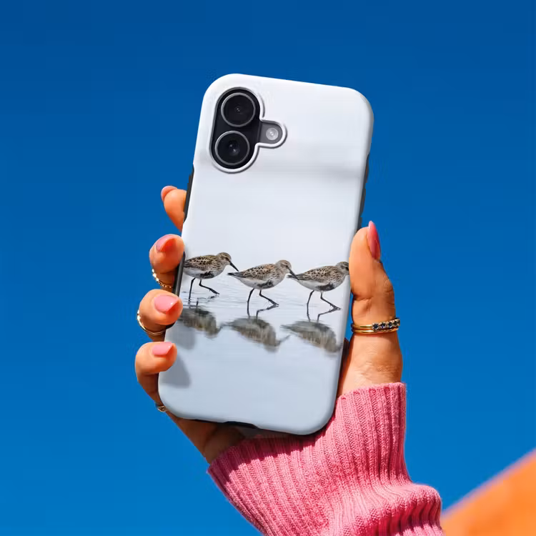 Vogels - Water - Grijs Toughcase MagSafe Apple iPhone 17 klein -Sfeer1V