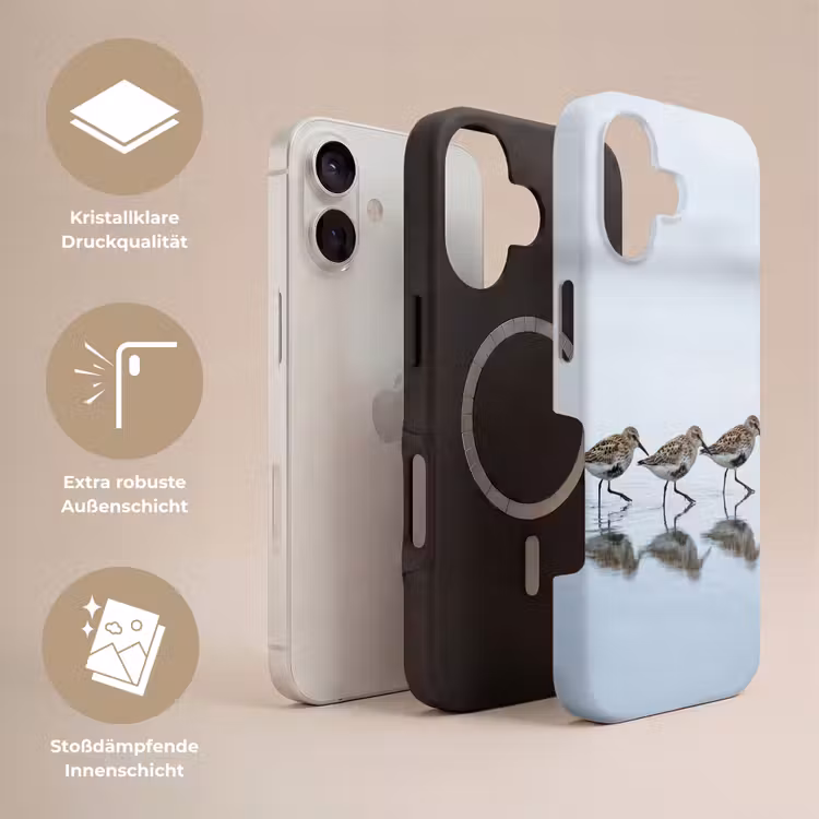 Vogels - Water - Grijs Toughcase MagSafe Apple iPhone 17 klein -USP_Lagen_DE
