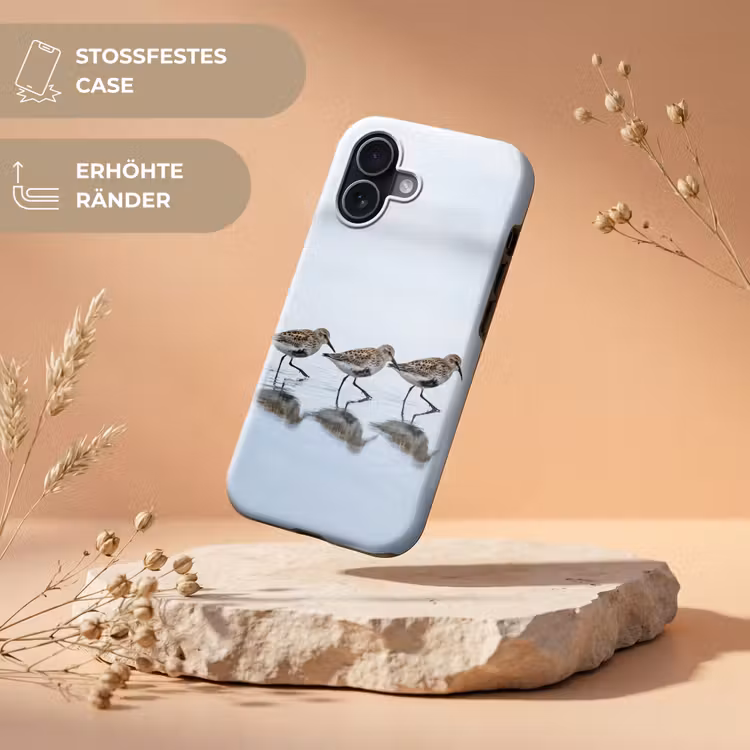 Vogels - Water - Grijs Toughcase MagSafe Apple iPhone 17 klein -USP_RandenV_DE