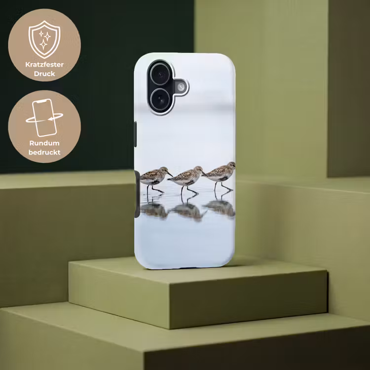 Vogels - Water - Grijs Toughcase MagSafe Apple iPhone 17 klein -USP_PrintM_DE
