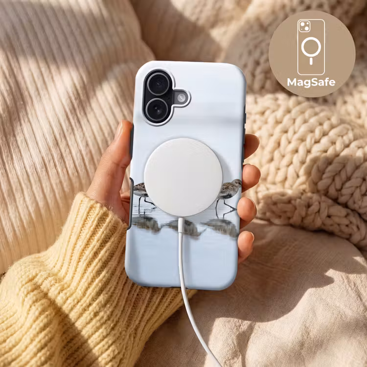 Vogels - Water - Grijs Toughcase MagSafe Apple iPhone 17 klein -USP_MagsafeV
