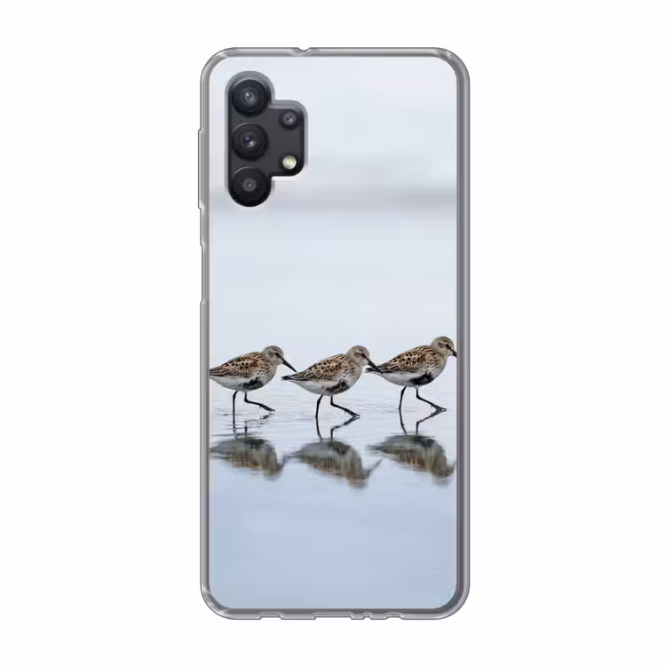 Vogels - Water - Grijs Telefoonhoesje Samsung Galaxy A32 5G klein -3d