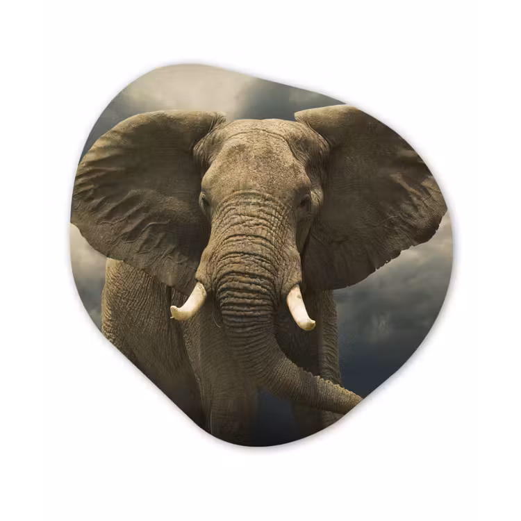Afrikaanse olifant tegen de donkere wolken Wandcirkel Organisch Forex 3mm klein -3d