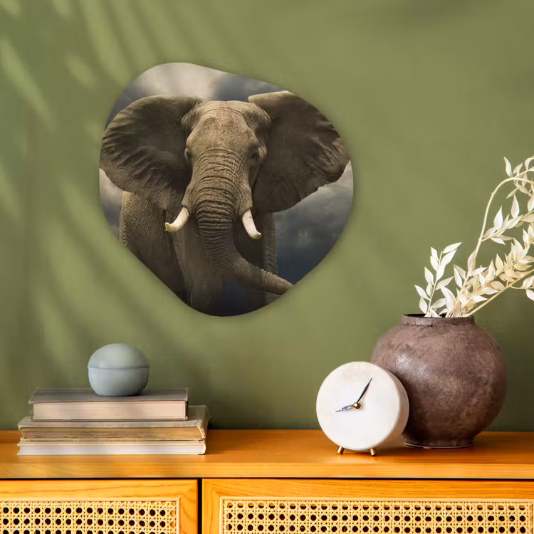 Afrikaanse olifant tegen de donkere wolken Wandcirkel Organisch Forex 3mm klein -sfeer2