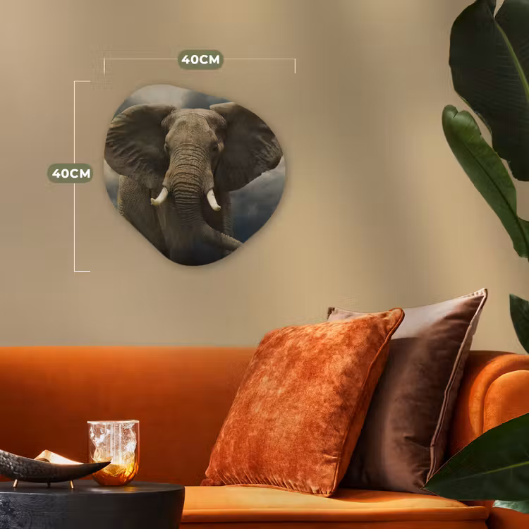 Afrikaanse olifant tegen de donkere wolken Wandcirkel Organisch Forex 3mm klein -sfeer3