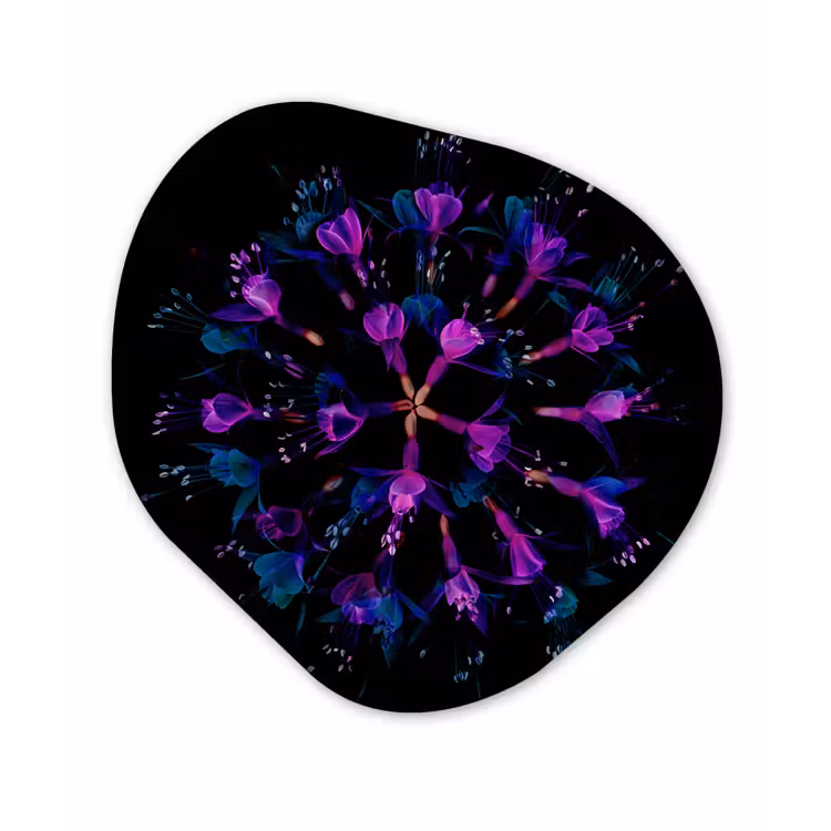 Bloem - Paars - Blauw - Macro - Zwart Wandcirkel Organisch Forex 3mm klein -3d