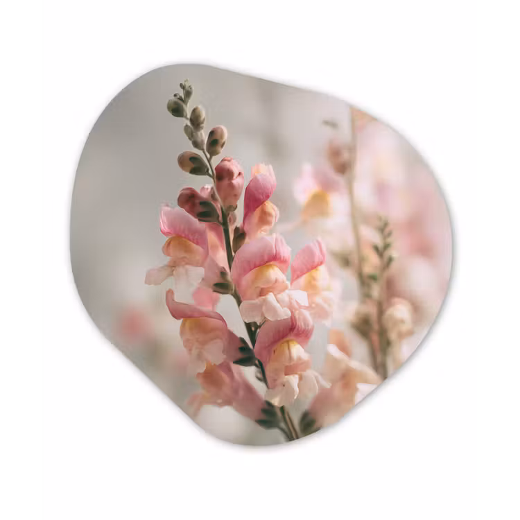 Bloem - Leeuwenbek - Roze - Stengel Wandcirkel Organisch Forex 3mm klein -3d