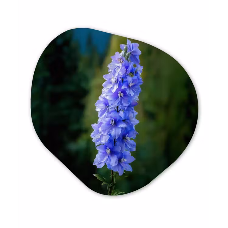 Bloemen - Blauw - Dennenboom Wandcirkel Organisch Forex 3mm klein -3d