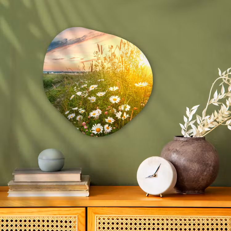 Bloemen - Madelief - Natuur - Zon - Horizon Wandcirkel Organisch Forex 3mm klein -sfeer2