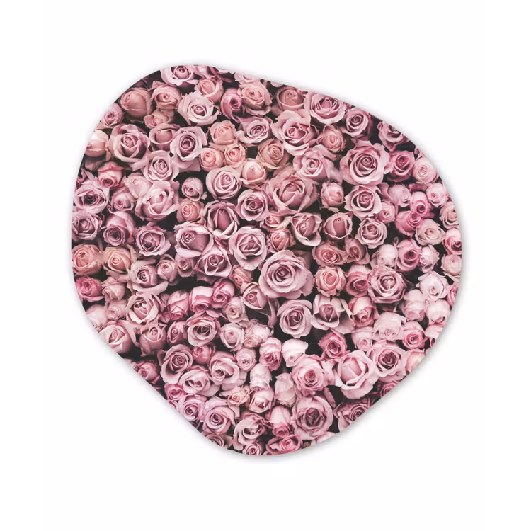 Bloemen - Rozen - Natuur - Roze - Botanisch Wandcirkel Organisch Forex 3mm klein -3d