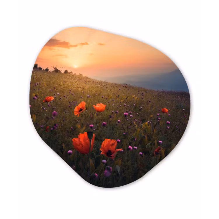 Bloemenveld - Gras - Bloemen - Planten - Zonsondergang - Oranje Wandcirkel Organisch Forex 3mm klein -3d
