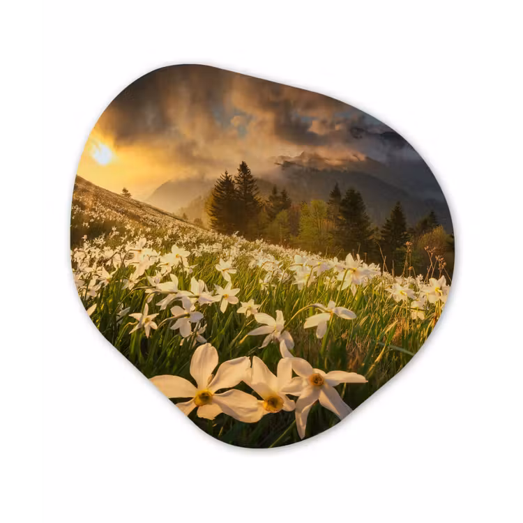 Bloemenveld - Heuvels - Zonsondergang - Berg - Natuur - Wit Wandcirkel Organisch Forex 3mm klein -3d