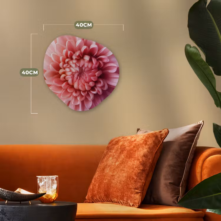 Dahlia - Bloem - Close up - Roze Wandcirkel Organisch Forex 3mm klein -sfeer3
