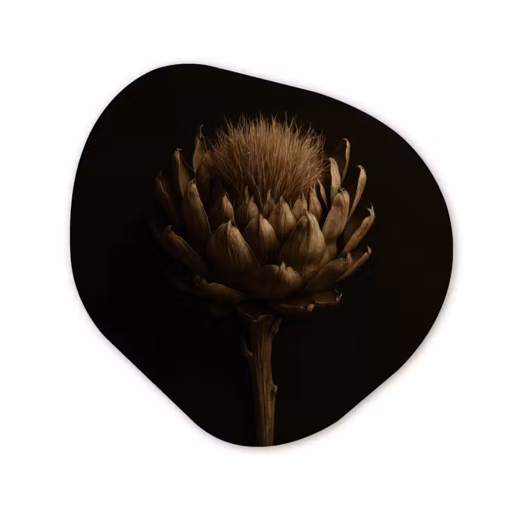 Donkerbruin - Bloem - Textuur - Artisjok Wandcirkel Organisch Forex 3mm klein -3d