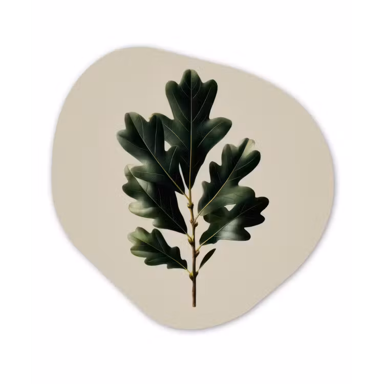 Eikenbladeren - Beige - Groen - Golvende randen Wandcirkel Organisch Forex 3mm klein -3d