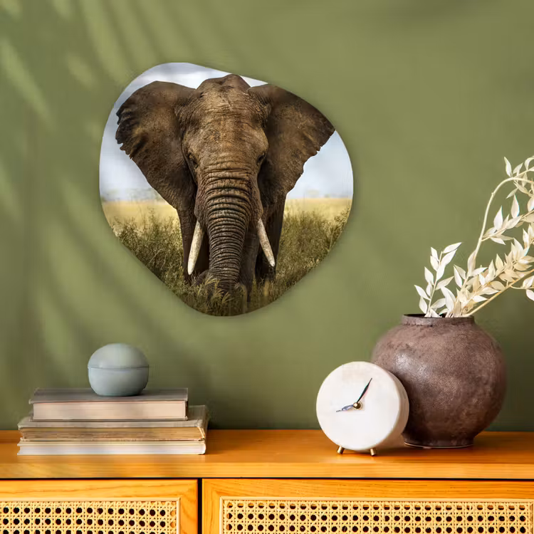 Olifant - Natuur - Gras - Dieren - Landschap Wandcirkel Organisch Forex 3mm klein -sfeer2