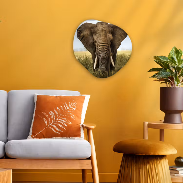 Olifant - Natuur - Gras - Dieren - Landschap Wandcirkel Organisch Forex 3mm klein -sfeer4