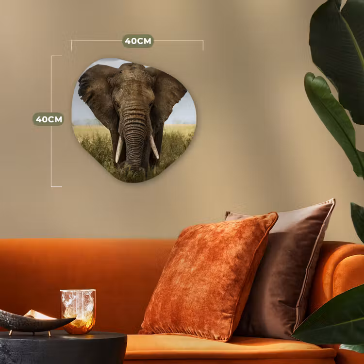 Olifant - Natuur - Gras - Dieren - Landschap Wandcirkel Organisch Forex 3mm klein -sfeer3