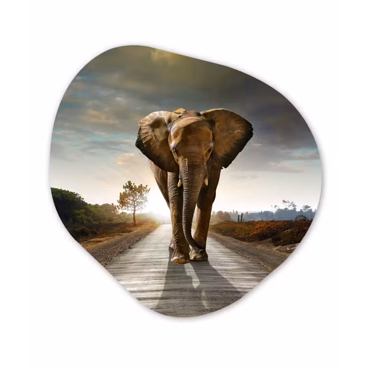 Olifant - Weg - Dieren - Zonsondergang - Landschap Wandcirkel Organisch Forex 3mm klein -3d