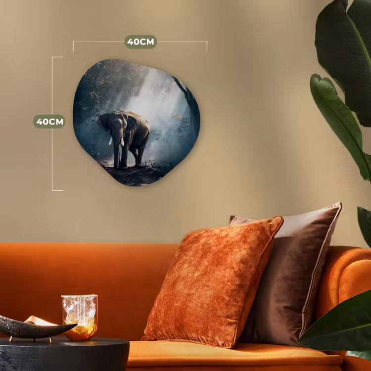 Olifant - Dieren - Licht - Bos - Natuur - Wilde dieren Wandcirkel Organisch Forex 3mm klein -sfeer3