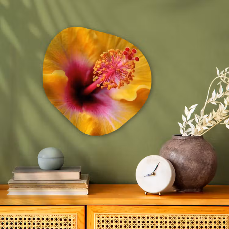 Geel - Hibiscus - Tropisch Wandcirkel Organisch Forex 3mm klein -sfeer2