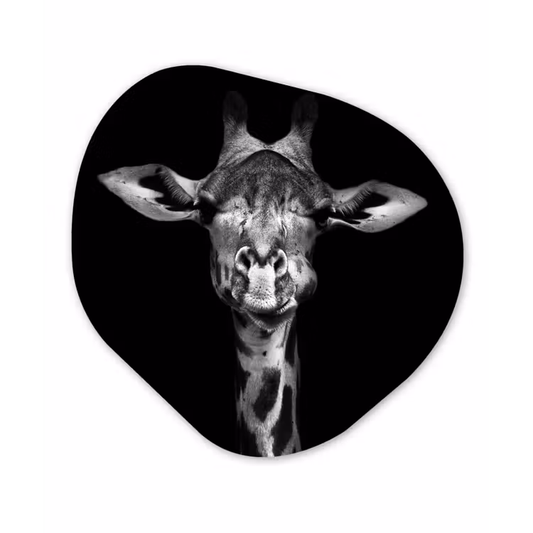 Giraffe - Portret - Dieren - Zwart - Wit Wandcirkel Organisch Forex 3mm klein -3d