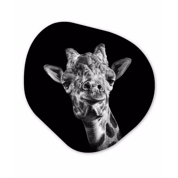 Giraffe - Dier - Zwart - Wit Wandcirkel Organisch Forex 3mm klein -3d