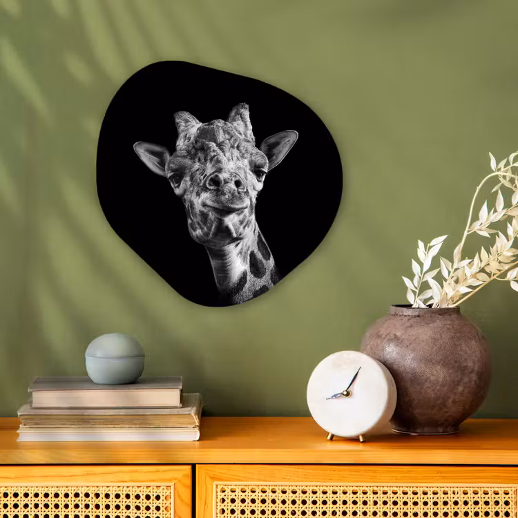 Giraffe - Dier - Zwart - Wit Wandcirkel Organisch Forex 3mm klein -sfeer2