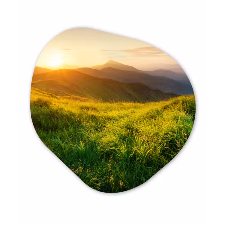 Gras - Heuvels - Zon - Natuur Wandcirkel Organisch Forex 3mm klein -3d