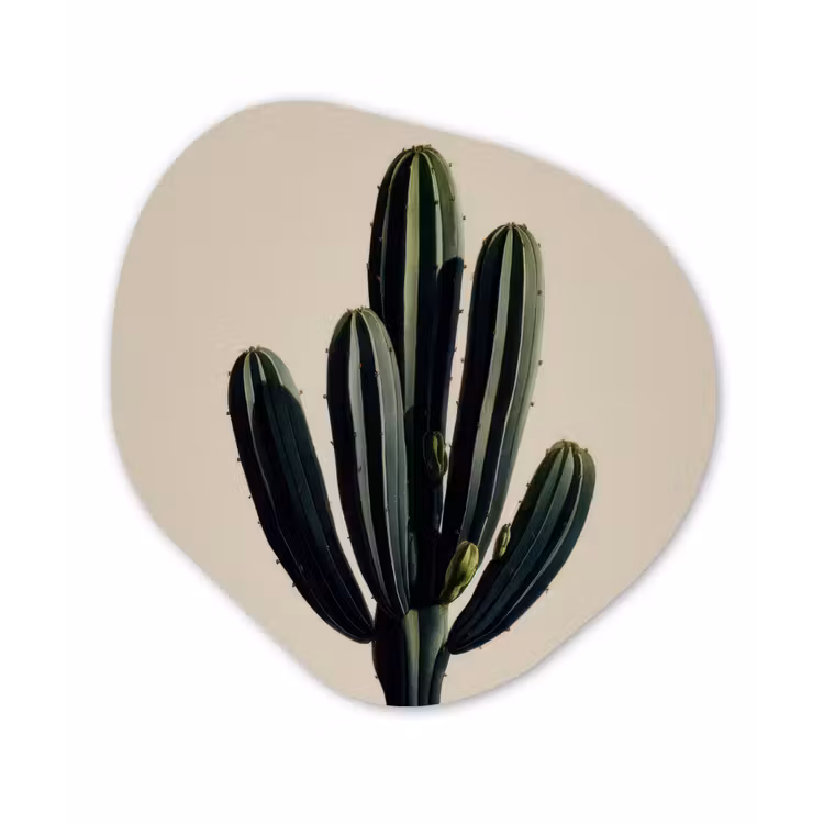Cactus - Subtiel - Groen Wandcirkel Organisch Forex 3mm klein -3d