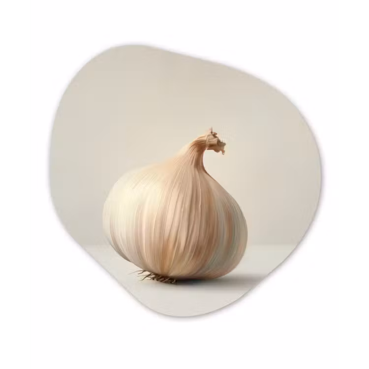 Knoflook - Natuurlijk - Beige Wandcirkel Organisch Forex 3mm klein -3d