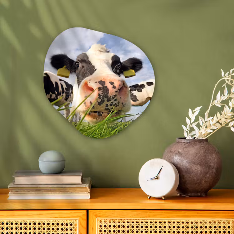 Koe - Boerderij - Gras - Dieren Wandcirkel Organisch Forex 3mm klein -sfeer2