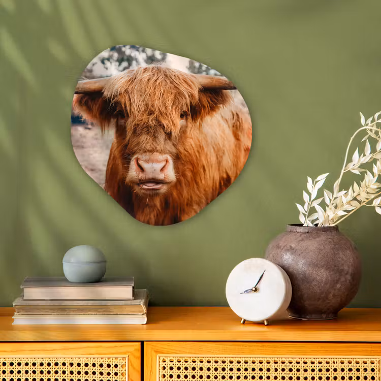 Koe- Schotse hooglander - Hoorns - Bruin - Landschap Wandcirkel Organisch Forex 3mm klein -sfeer2