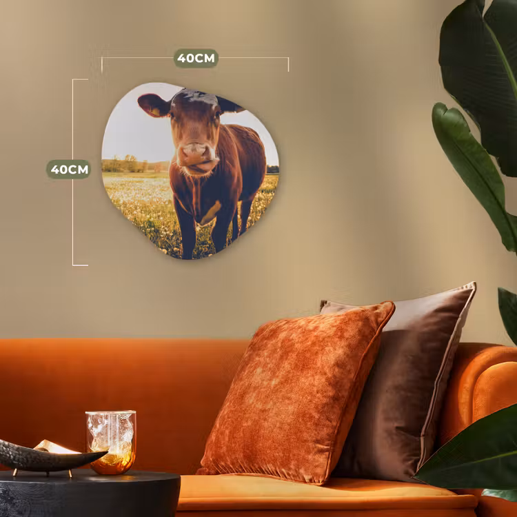 Koe - Zonsondergang - Bloemen - Gras - Dieren Wandcirkel Organisch Forex 3mm klein -sfeer3