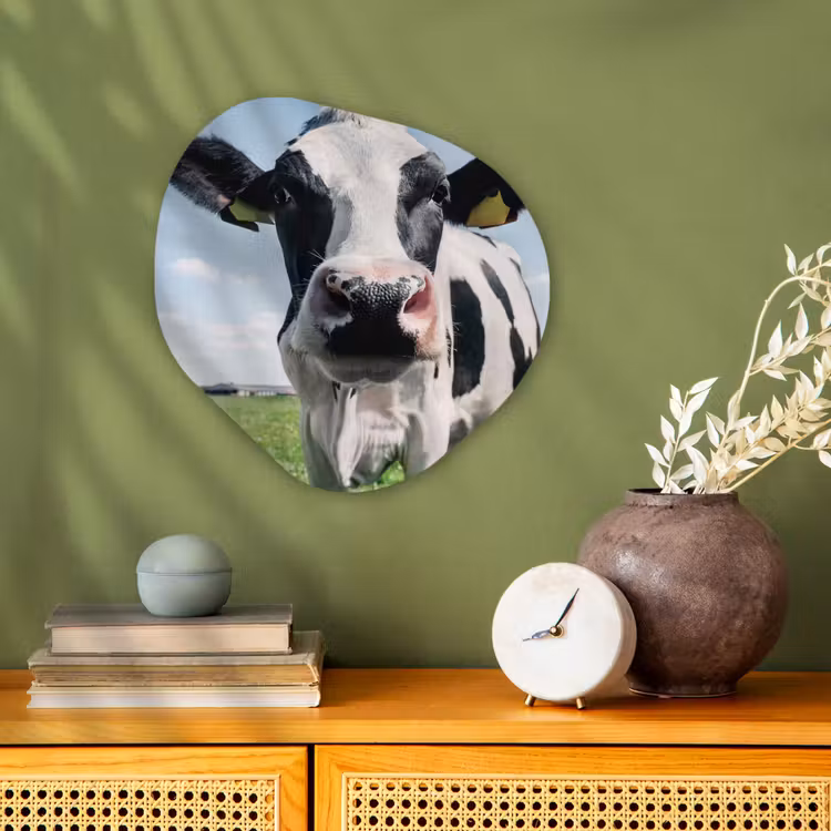Koe - Weiland - Natuur - Dieren - Gras Wandcirkel Organisch Forex 3mm klein -sfeer2