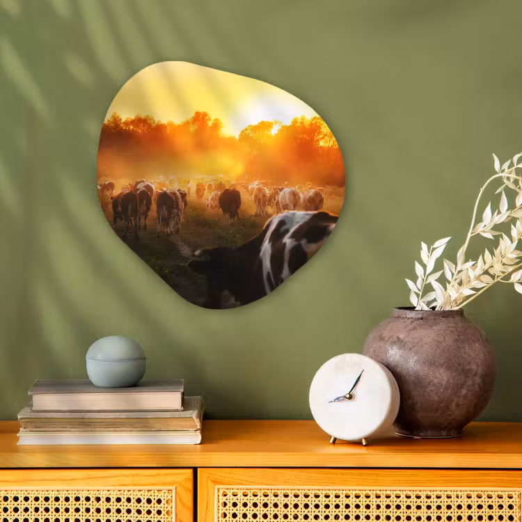 Koeien - Zonsondergang - Weiland - Dieren Wandcirkel Organisch Forex 3mm klein -sfeer2