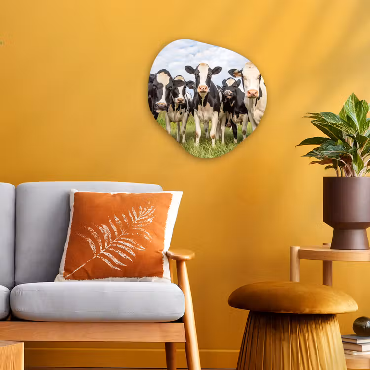 Koeien - Weiland - Dieren - Natuur - Gras Wandcirkel Organisch Forex 3mm klein -sfeer4