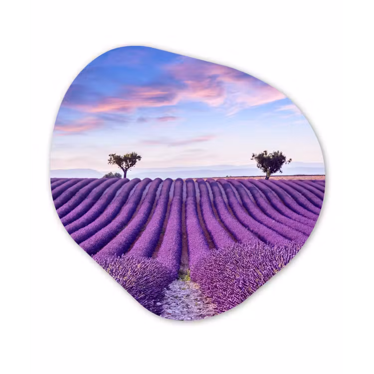 Lavendel - Natuur - Paars - Bomen Wandcirkel Organisch Forex 3mm klein -3d