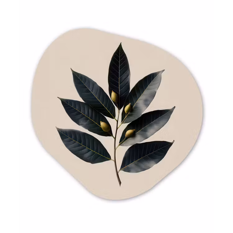 Laurierbladeren - Bloemknoppen - subtiel Wandcirkel Organisch Forex 3mm klein -3d