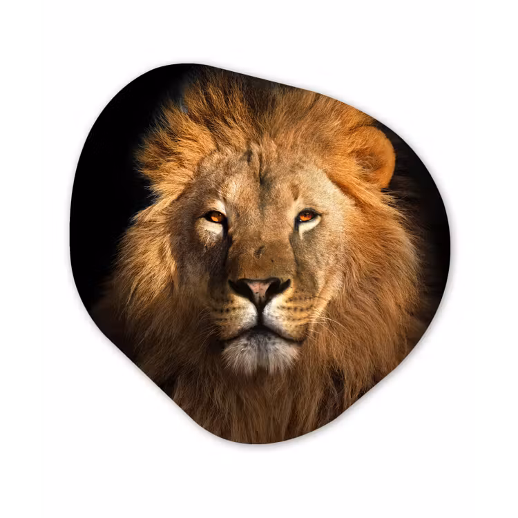 Leeuw - Dieren - Zwart - Licht - Bruin - Portret Wandcirkel Organisch Forex 3mm klein -3d