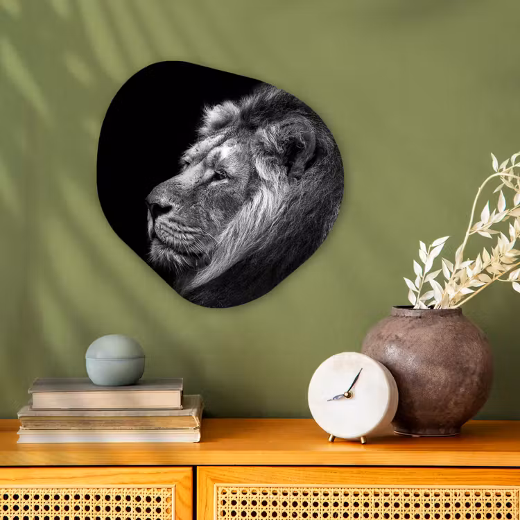 Leeuw tegen zwarte achtergrond in zwart-wit Wandcirkel Organisch Forex 3mm klein -sfeer2