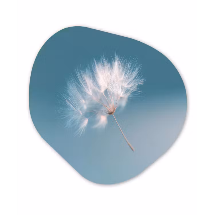Paardenbloempluisje - Blauw - Lucht Wandcirkel Organisch Forex 3mm klein -3d