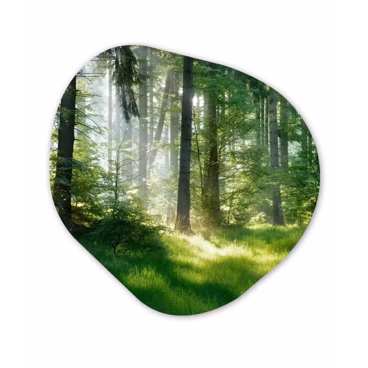 Natuur - Bomen - Bos - Groen - Zon - Gras - Planten Wandcirkel Organisch Forex 3mm klein -3d