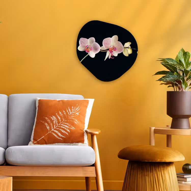 Orchidee - Bloemen - Zwart - Roze - Knoppen Wandcirkel Organisch Forex 3mm klein -sfeer4