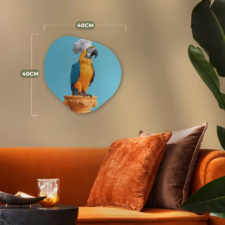 Papegaai - Koksmuts - Grappig - Vogel Wandcirkel Organisch Forex 3mm klein -sfeer3