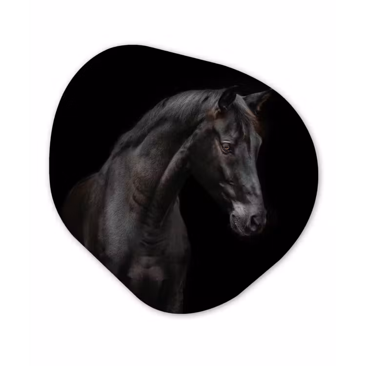 Paard - Dieren - Zwart - Portret Wandcirkel Organisch Forex 3mm klein -3d