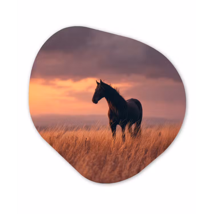 Paard - Wolken - Open veld Wandcirkel Organisch Forex 3mm klein -3d